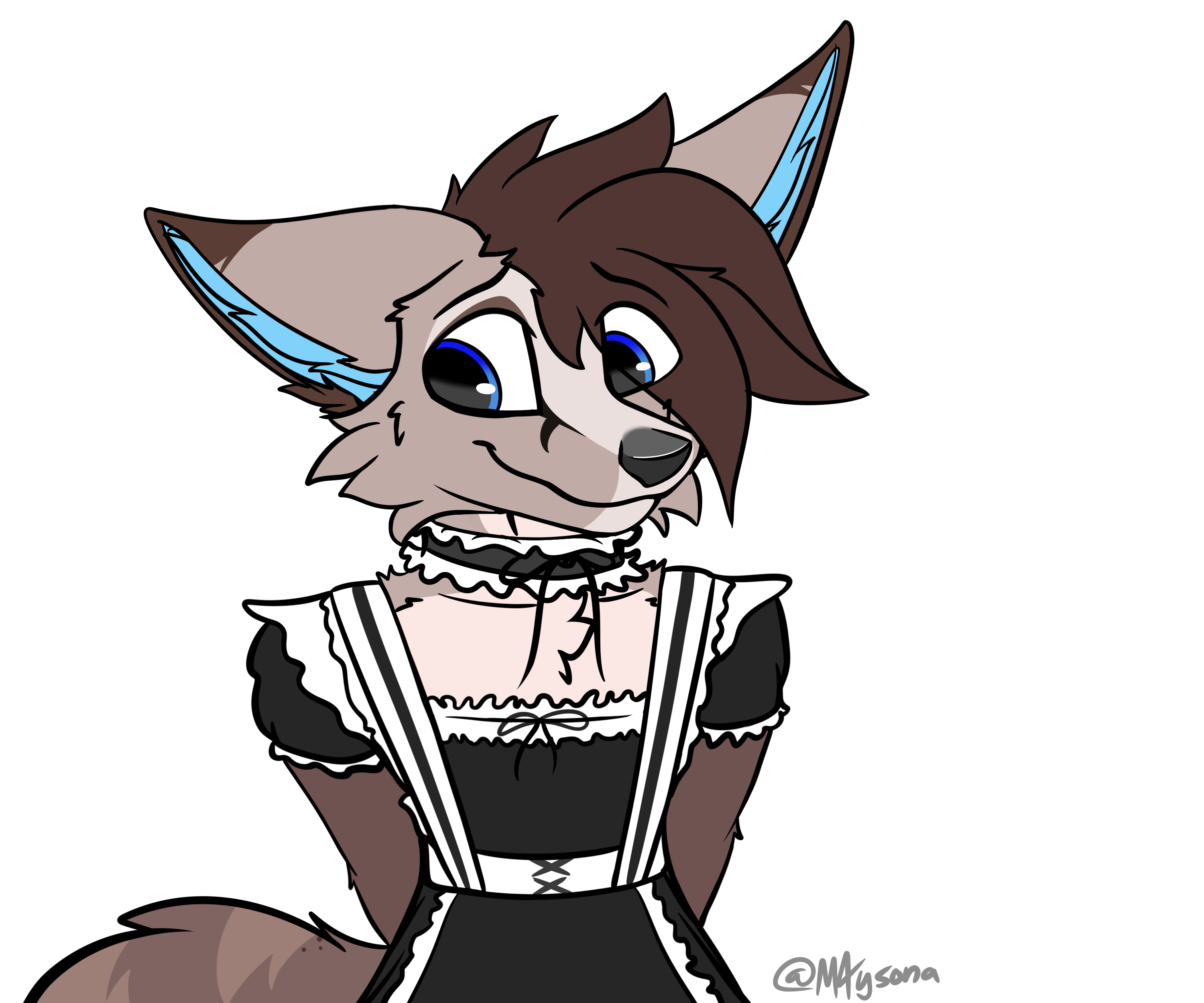 Vizion Maid